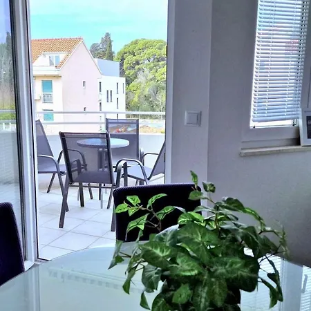 Silvana Apartment *